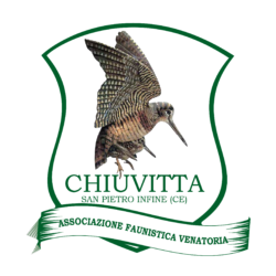 Chiuvitta – Associazione Faunistica Venatoria