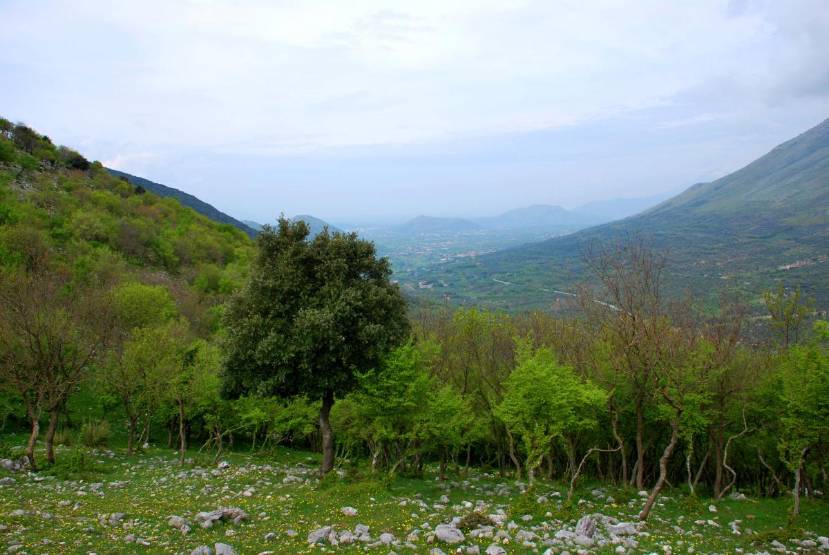 2010.04.18 Azienda Faunistico-Venatoria Chiuvitta .141