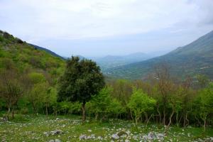 2010.04.18 Azienda Faunistico-Venatoria Chiuvitta .141