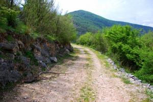 2010.04.18 Azienda Faunistico-Venatoria Chiuvitta .316